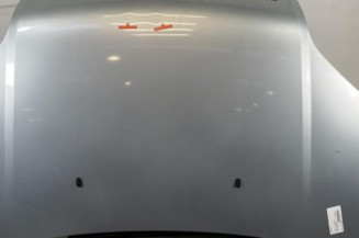 Capot FORD FUSION Photo n°1