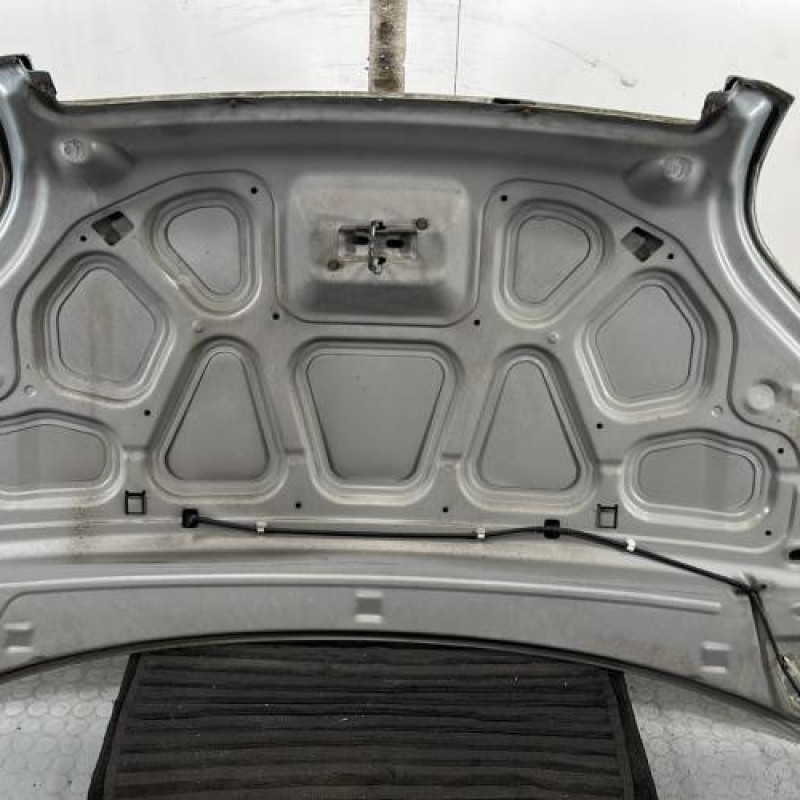 Capot FORD FUSION Photo n°8