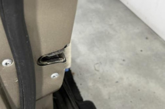 Porte avant gauche MERCEDES CLASSE A 169