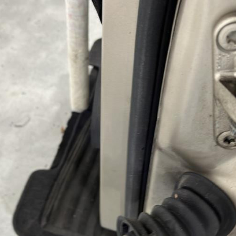 Porte avant gauche MERCEDES CLASSE A 169 Photo n°5