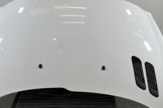 Capot PEUGEOT 206+ Photo n°1