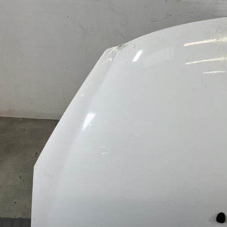 Capot PEUGEOT 206+