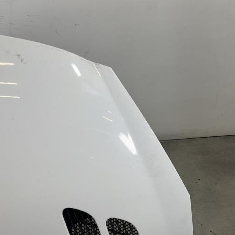 Capot PEUGEOT 206+ Photo n°3