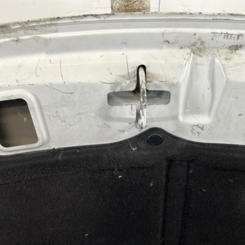 Capot PEUGEOT 206+ Photo n°6