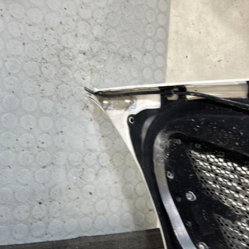 Capot PEUGEOT 206+ Photo n°7