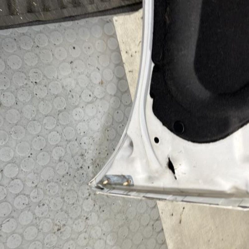 Capot PEUGEOT 206+ Photo n°8