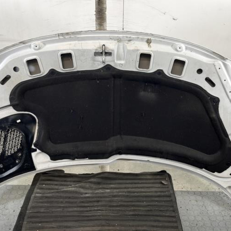 Capot PEUGEOT 206+ Photo n°9