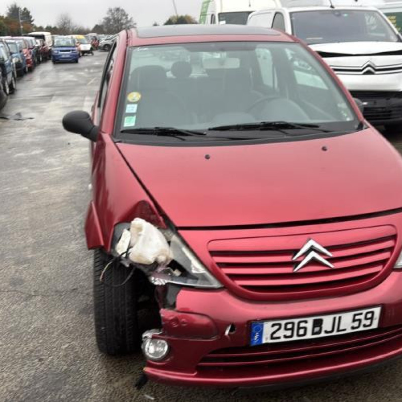 Porte arriere droit CITROEN C3 1 Photo n°17