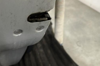 Porte arriere gauche CITROEN C3 1