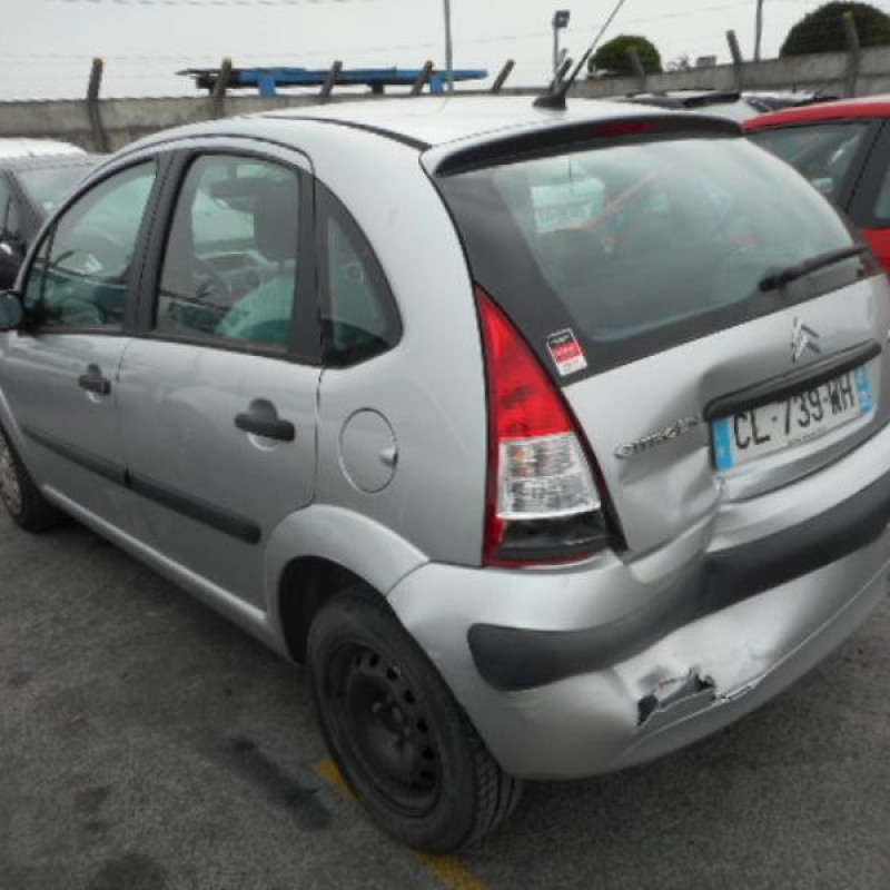 Porte arriere gauche CITROEN C3 1 Photo n°9