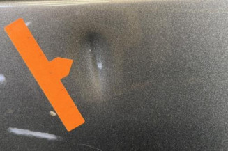 Porte arriere gauche RENAULT CLIO 4