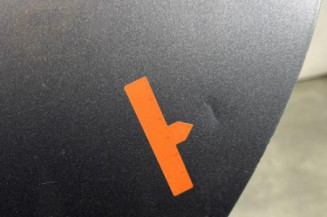 Porte arriere gauche RENAULT CLIO 4