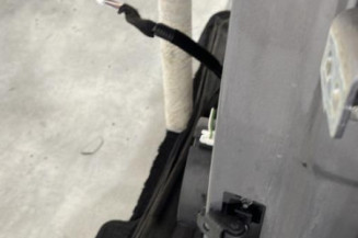 Porte arriere gauche RENAULT CLIO 4