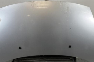 Capot CITROEN C3 1 Photo n°1