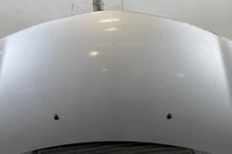 Capot RENAULT CLIO 3 Photo n°1