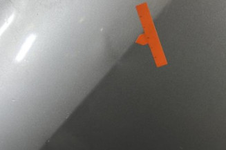 Porte arriere droit RENAULT CLIO 3