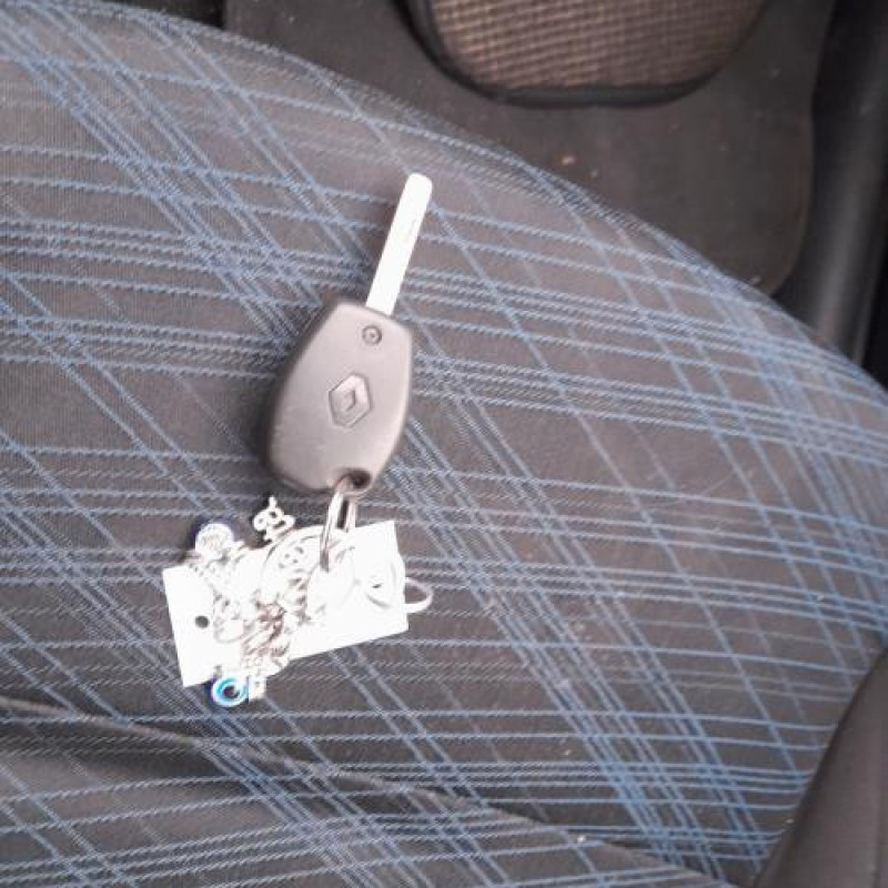 Porte arriere droit RENAULT CLIO 3 Photo n°18