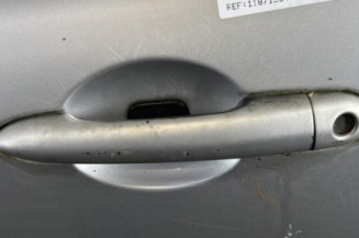 Porte avant gauche RENAULT CLIO 3