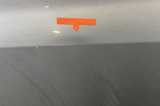 Porte avant gauche RENAULT CLIO 3