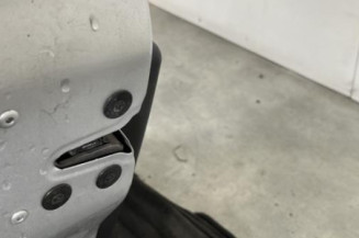 Porte avant gauche RENAULT CLIO 3