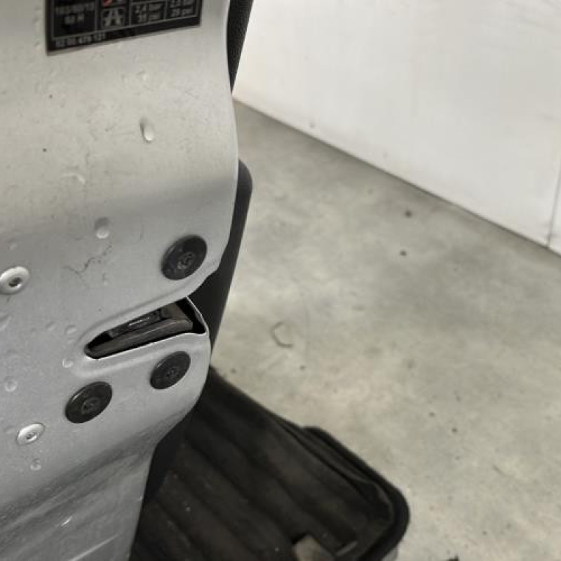 Porte avant gauche RENAULT CLIO 3 Photo n°4