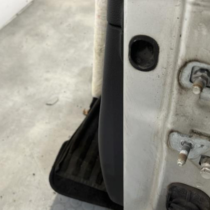 Porte avant gauche RENAULT CLIO 3 Photo n°5