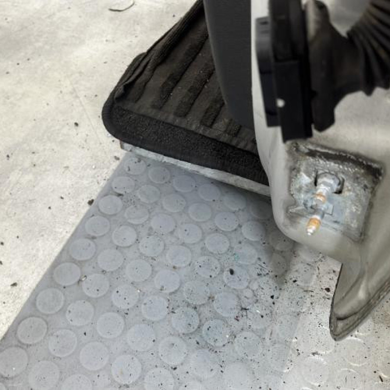 Porte avant gauche RENAULT CLIO 3 Photo n°6