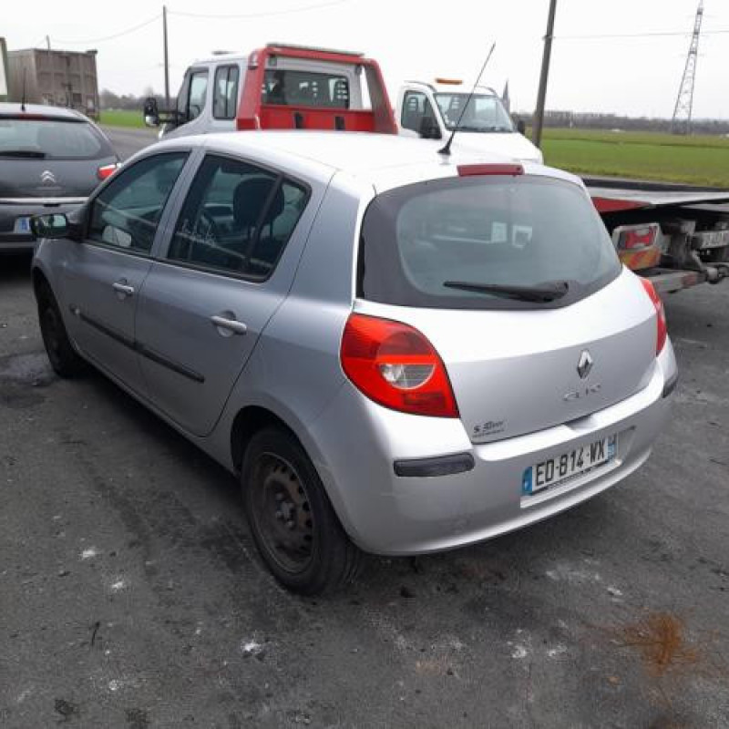 Porte avant gauche RENAULT CLIO 3 Photo n°11