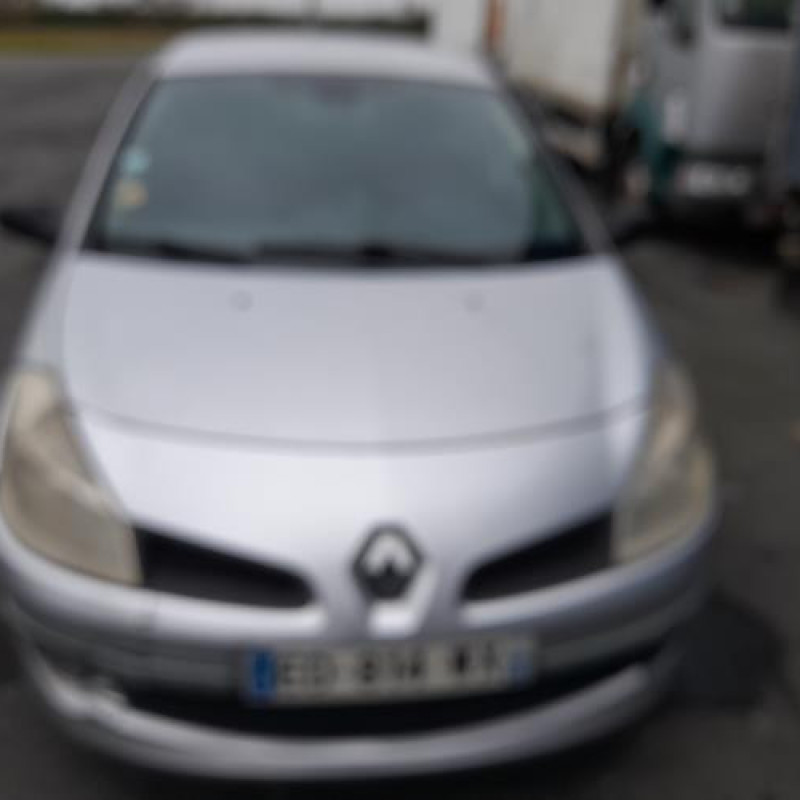 Porte avant gauche RENAULT CLIO 3 Photo n°12