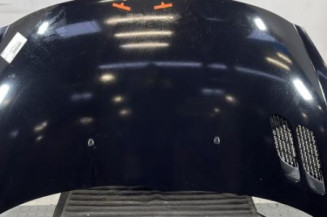 Capot PEUGEOT 206+ Photo n°1