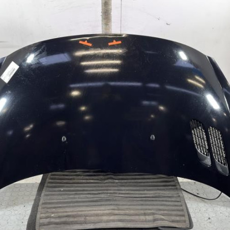 Capot PEUGEOT 206+ Photo n°1