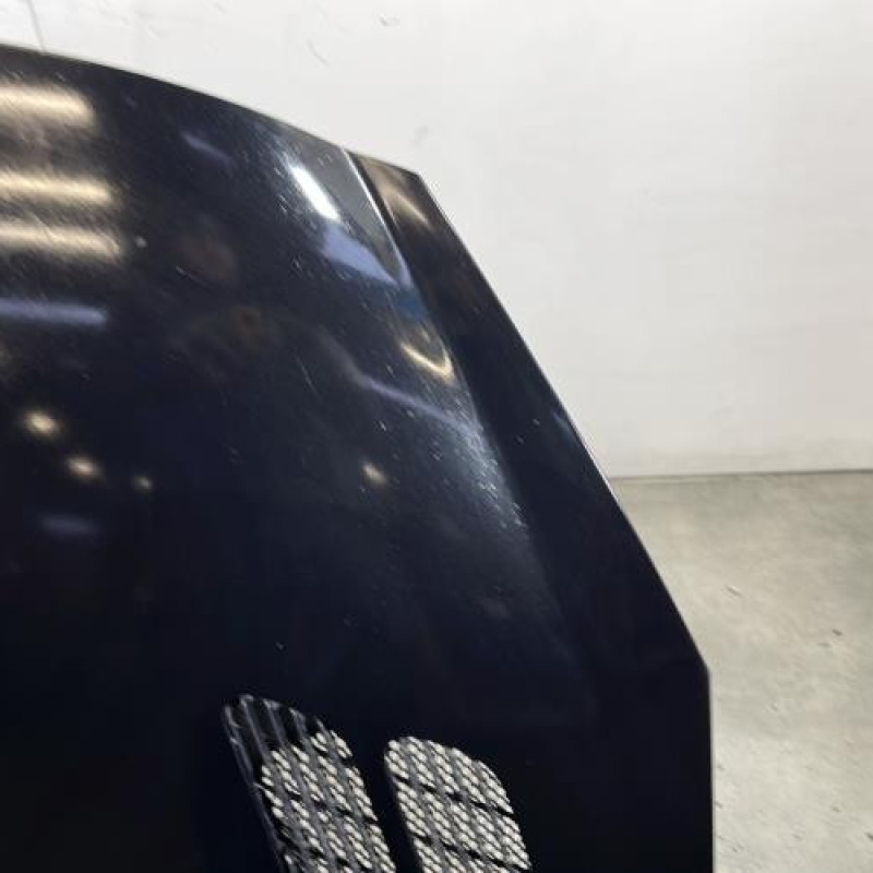 Capot PEUGEOT 206+ Photo n°4