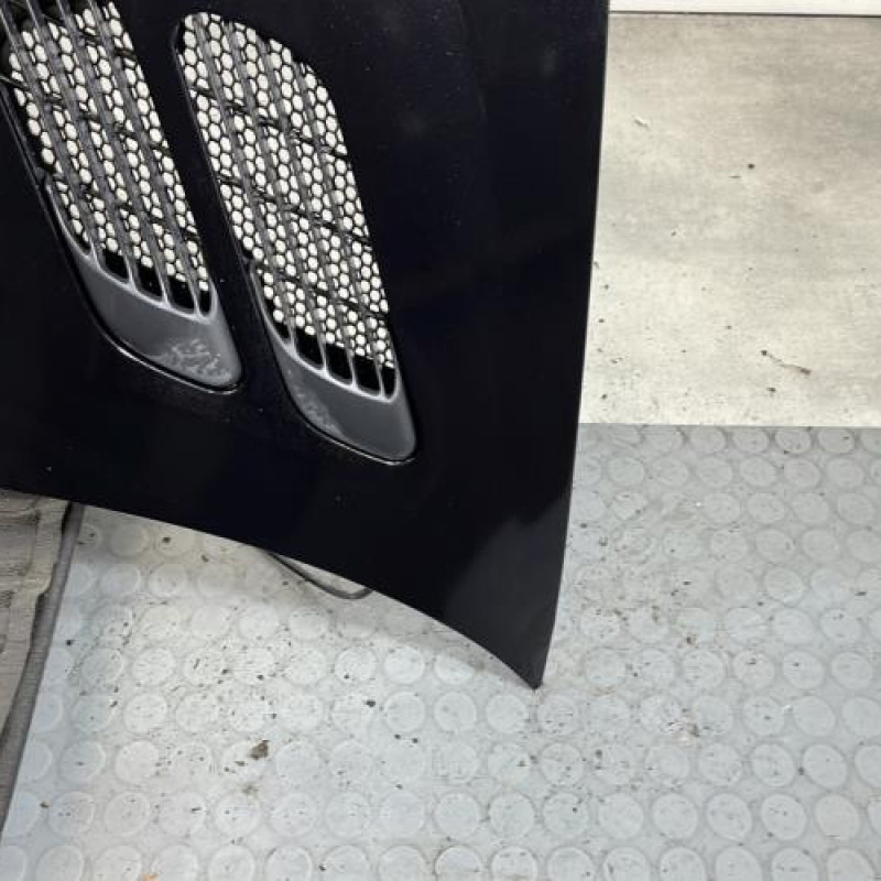 Capot PEUGEOT 206+ Photo n°5