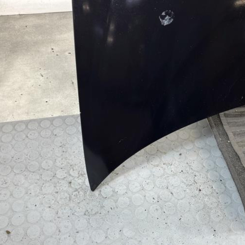 Capot PEUGEOT 206+ Photo n°6