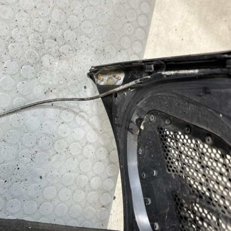 Capot PEUGEOT 206+ Photo n°8