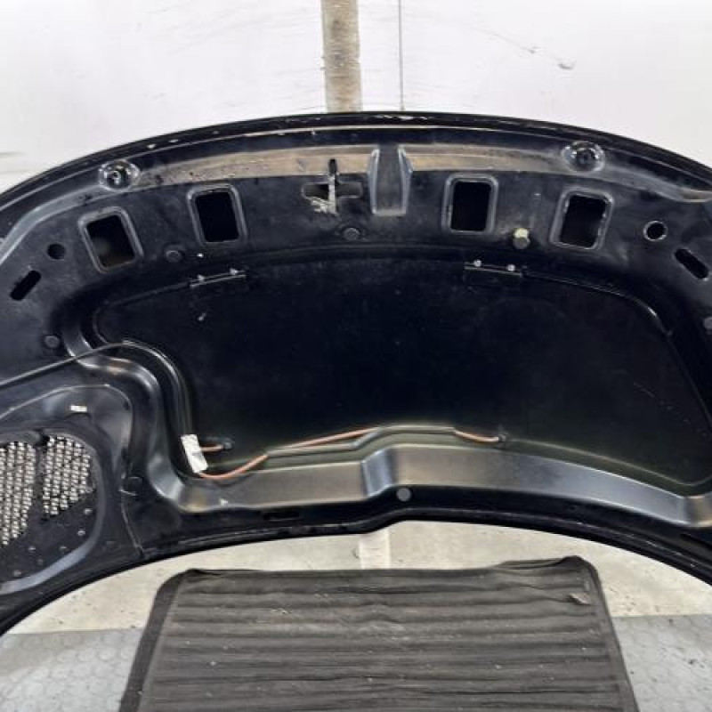 Capot PEUGEOT 206+ Photo n°10