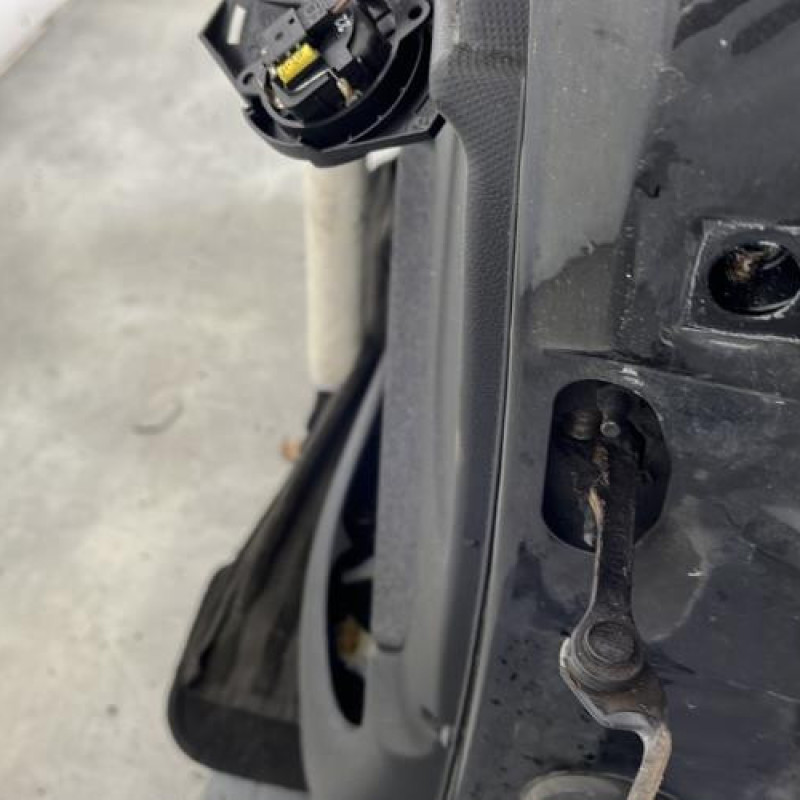 Porte avant gauche PEUGEOT 206+ Photo n°4