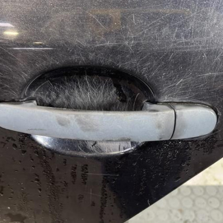 Porte arriere gauche VOLKSWAGEN GOLF 5