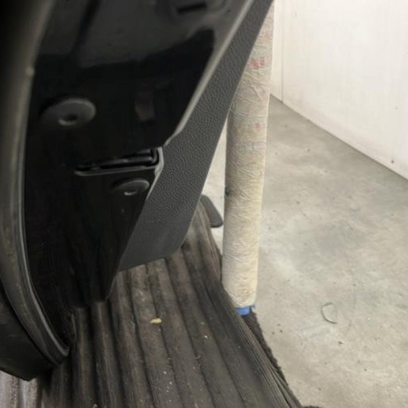 Porte arriere gauche VOLKSWAGEN GOLF 5 Photo n°3