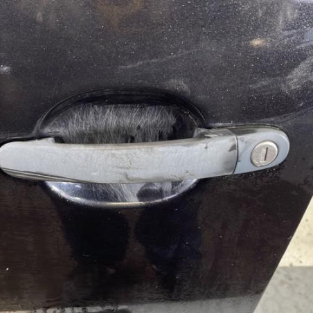 Porte avant gauche VOLKSWAGEN GOLF 5