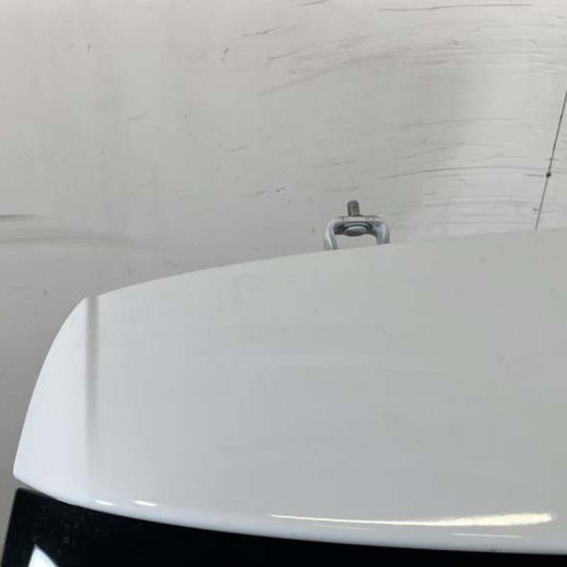 Malle/Hayon arriere VOLKSWAGEN POLO 5 Photo n°2