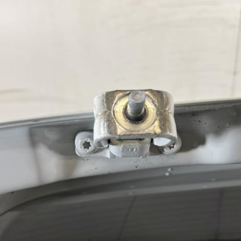 Malle/Hayon arriere VOLKSWAGEN POLO 5 Photo n°6