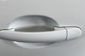 Porte arriere gauche VOLKSWAGEN POLO 5