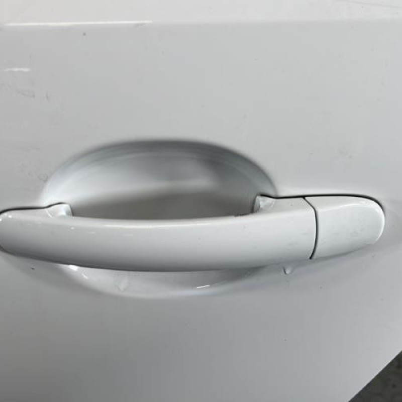 Porte arriere gauche VOLKSWAGEN POLO 5 Photo n°2