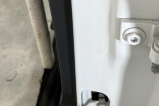 Porte arriere gauche VOLKSWAGEN POLO 5