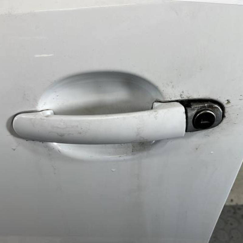 Porte avant gauche VOLKSWAGEN POLO 5 Photo n°2