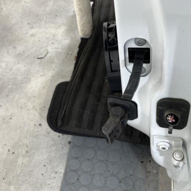 Porte avant gauche VOLKSWAGEN POLO 5 Photo n°4