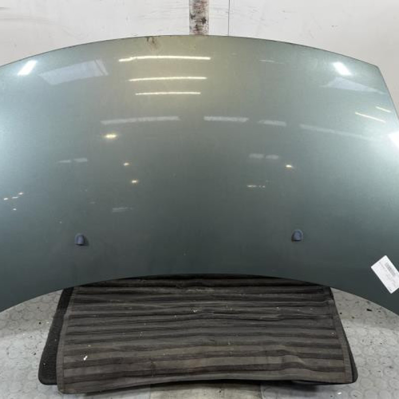 Capot CITROEN C3 1 Photo n°1