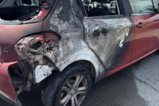 Porte arriere gauche PEUGEOT 208 1