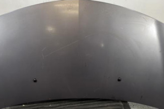 Capot RENAULT CLIO 3 Photo n°1